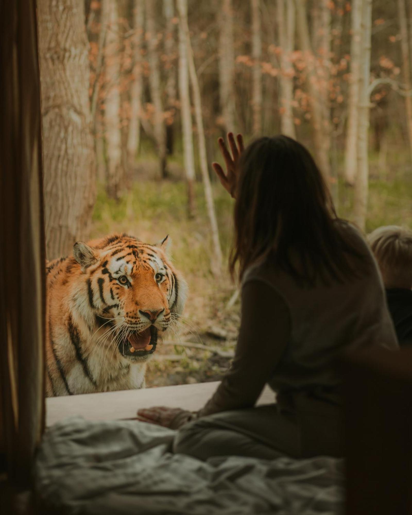 Knuthenborg Safaripark Hotell Maribo Eksteriør bilde