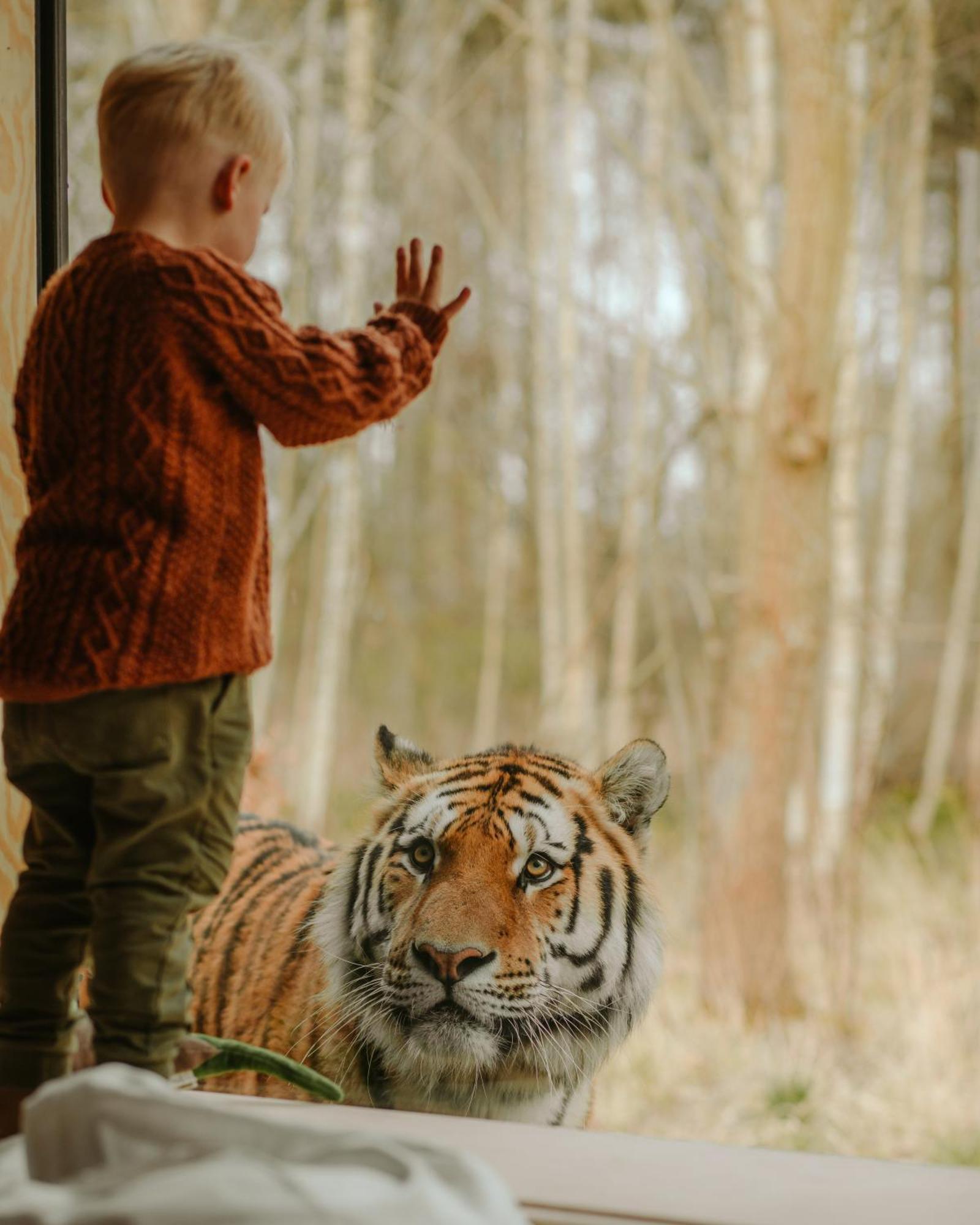 Knuthenborg Safaripark Hotell Maribo Eksteriør bilde
