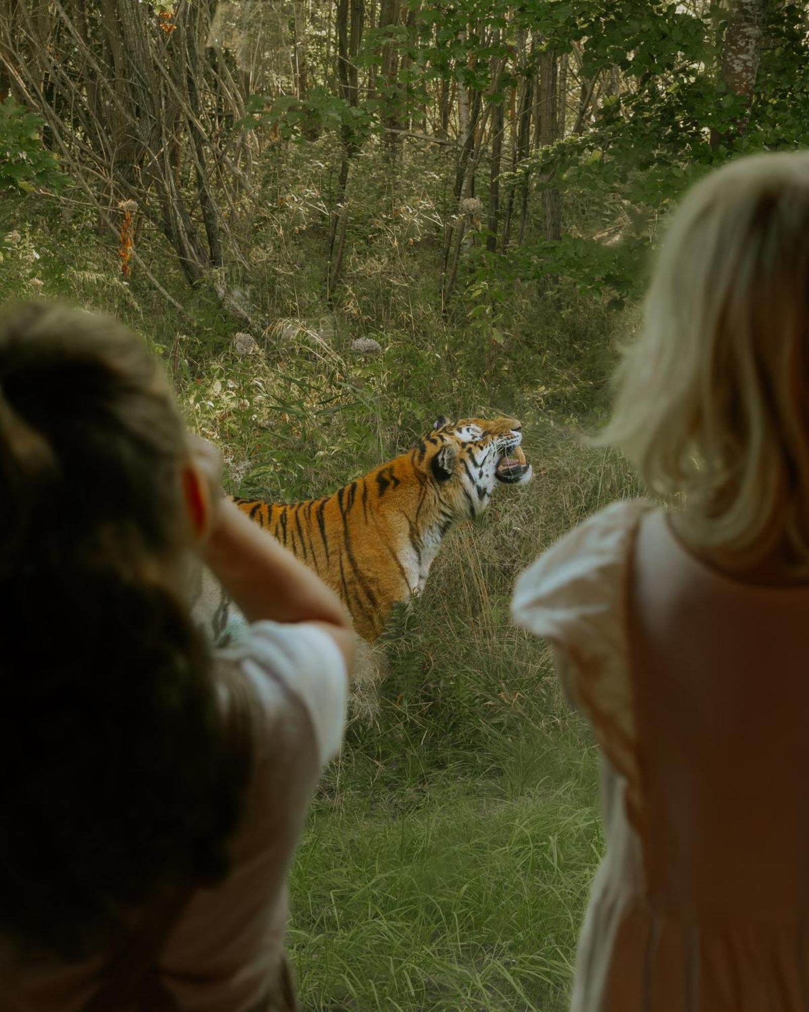 Knuthenborg Safaripark Hotell Maribo Eksteriør bilde