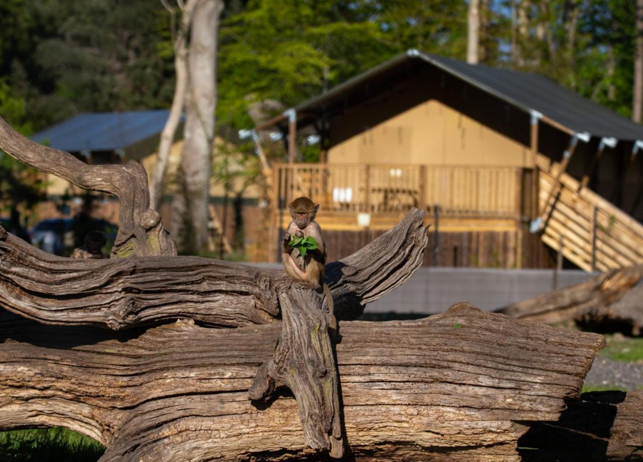 Knuthenborg Safaripark Hotell Maribo Eksteriør bilde